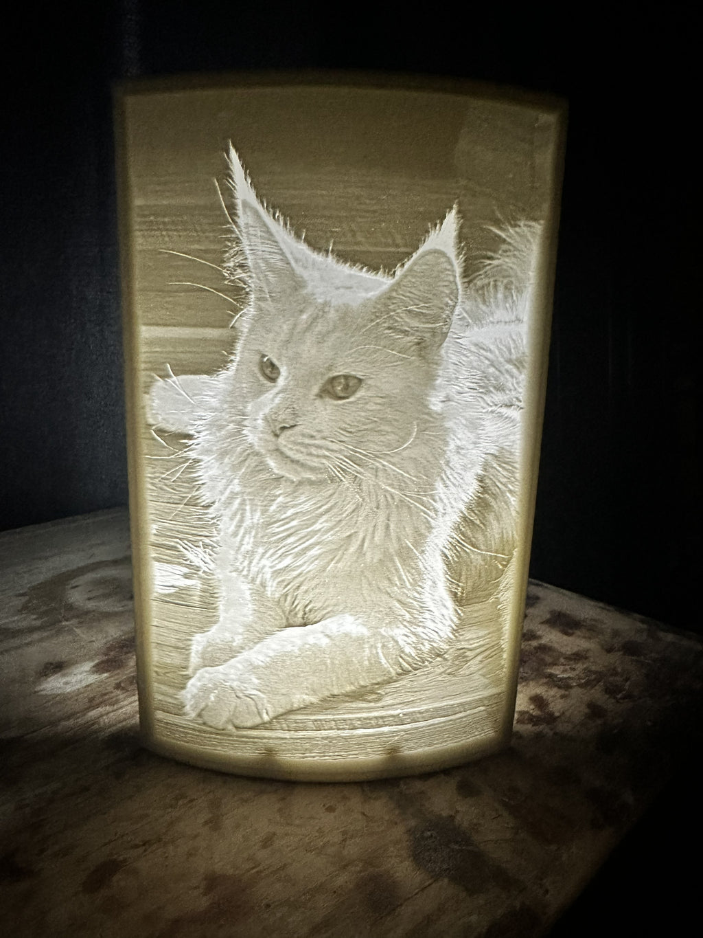 Custom 3D Printed Lithophane